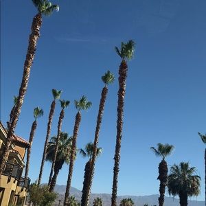 Meet your Posher, Meg